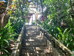 -西双版纳原始森林公园