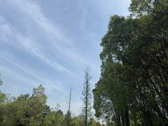 -杏花村文化旅游区