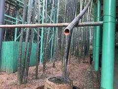 -陶祖圣境风景区