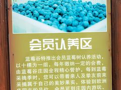 -金石滩蓝莓谷庄园
