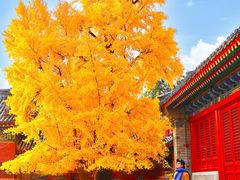 -承恩寺