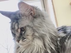 -猫和宫(六道口店)