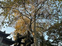 -灵顺寺