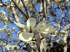 -齐白石旧居纪念馆