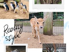 -费瑟代尔野生动物园