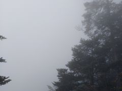 -西岭雪山大飞水景区