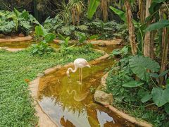 -海南热带野生动植物园