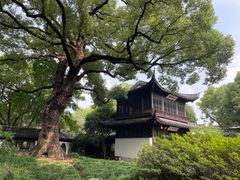 -惠山古镇·寄畅园