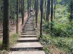 -广州市帽峰山景区