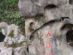 -十八棵（老龙井）御茶园(老龙井店)