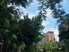 -三亚湾红树林度假世界(木棉酒店)