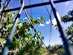 -永定河休闲森林公园