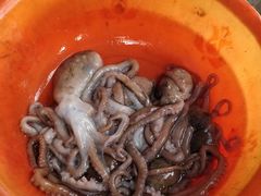 -常家活海鲜小吃(仅一家无分店)