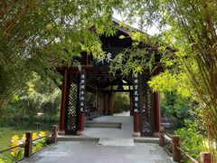 -棠湖公园