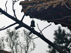-哈尔滨极乐寺