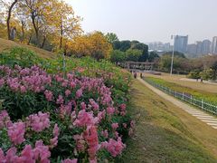 -紫马岭公园