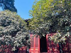 -洛阳白马寺