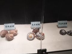 -广东惠东海龟国家级自然保护区