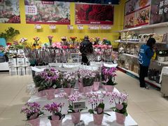 -盒马X会员店(上海森兰商都店)