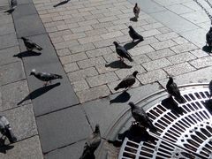 -ladurée(戴高乐机场T 2F店)