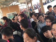 -古柏渡飞黄旅游区