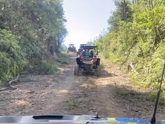 -刘伯温故里景区百丈漈