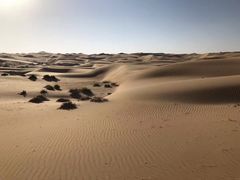 -阿布扎比沙漠皇宫酒店水疗中心