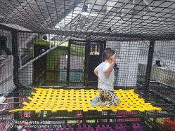 -动力星球家庭亲子游乐中心