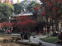 -温江公园