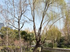 -兰溪青年公园
