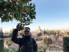 -阿尔罕布拉宫