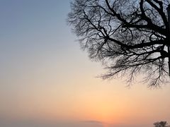 -观潮胜地公园