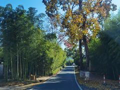 -莫干山风景区