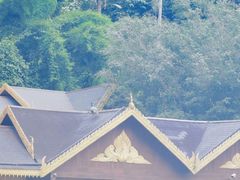 -西双版纳原始森林公园