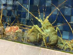-抱德·潮汕味(敦和店原惠城鱼仔)