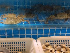 -汉来海港·海鲜自助餐厅(上海七宝领展广场店)