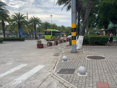 -万绿园