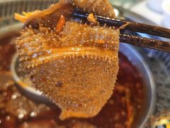 -晓宇重庆火锅(赛格国际购物中心店)