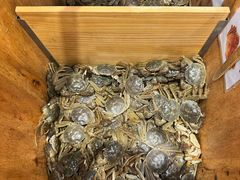 -初色海鲜自助(万丰路店)