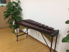 -音歆国艺馆·民乐培训(双榆树店)