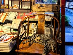 -正阳书局(西四南大街店)