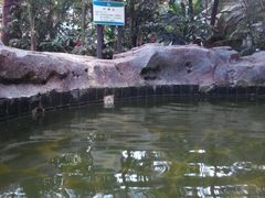 -龙达温泉生态城