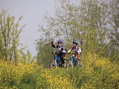 -GIANT捷安特自行车专卖店(金桥台儿庄路店)