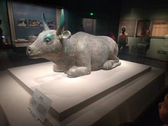 -宁夏博物馆