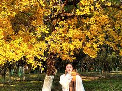 -长白岛森林公园