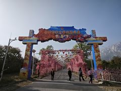 -北京凤凰岭