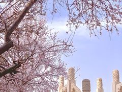 -北海公园