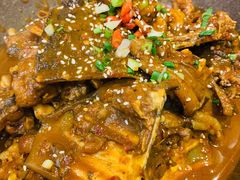 生态甲鱼-火焰金龟甲(汉阳江滩旗舰店)