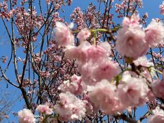 -观澜湖生态运动公社