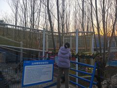 -西部长青自然儿童乐园